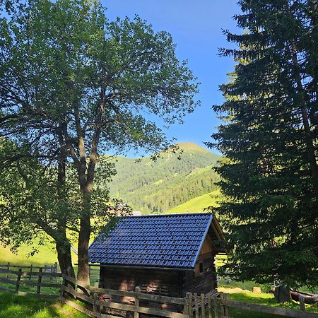 Kinder- Und Familienhotel Nockalm Innerkrems Zewnętrze zdjęcie